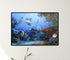 modern black wood framed original painting great barrier reef coral trout wall art print